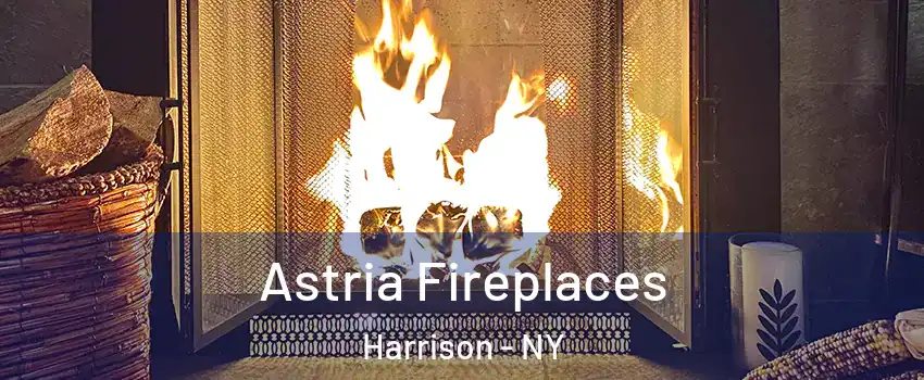  Astria Fireplaces Harrison - NY