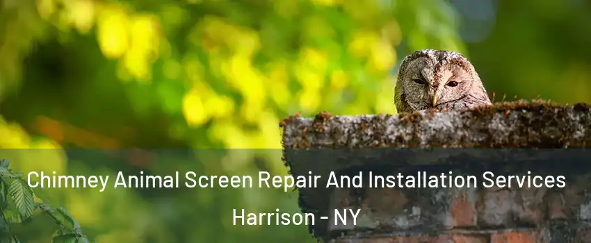  Chimney Animal Screen Repair And Installation Services Harrison - NY