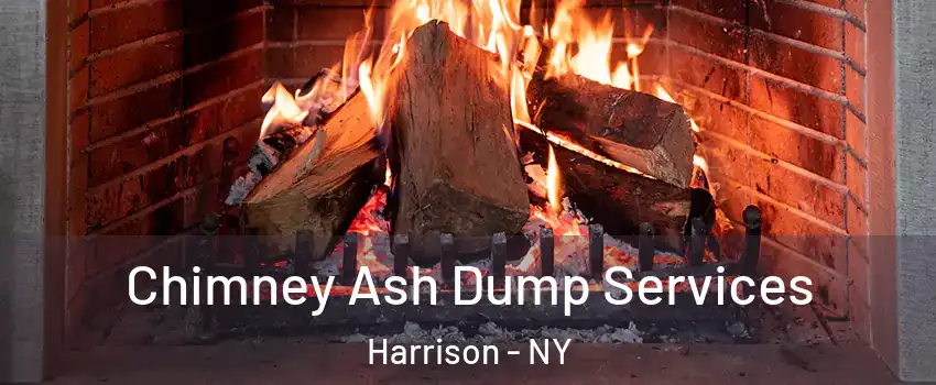  Chimney Ash Dump Services Harrison - NY