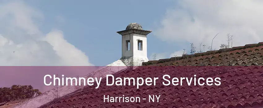  Chimney Damper Services Harrison - NY