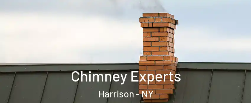  Chimney Experts Harrison - NY
