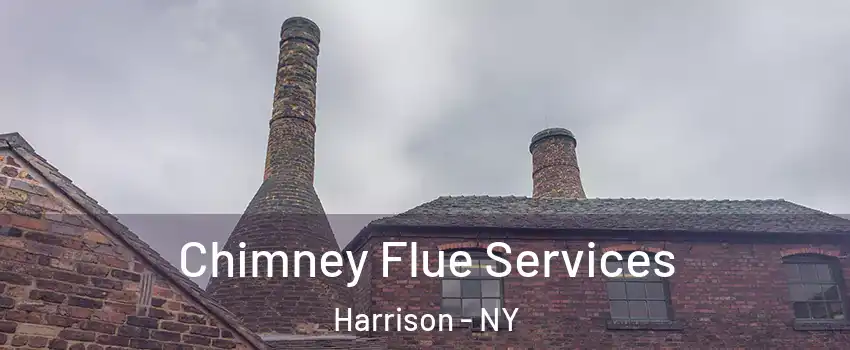  Chimney Flue Services Harrison - NY