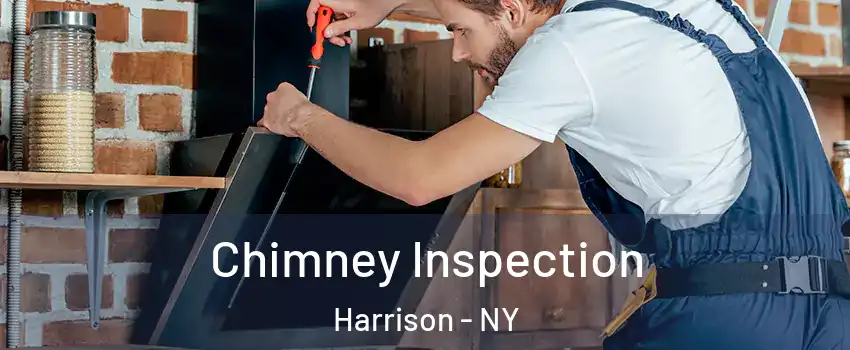 Chimney Inspection Harrison - NY