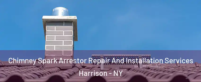  Chimney Spark Arrestor Repair And Installation Services Harrison - NY