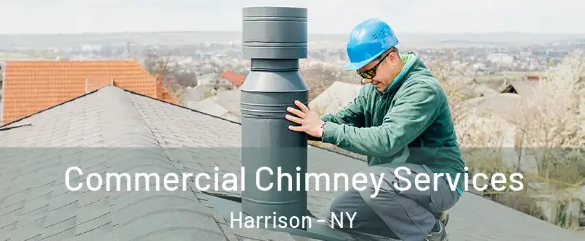  Commercial Chimney Services Harrison - NY