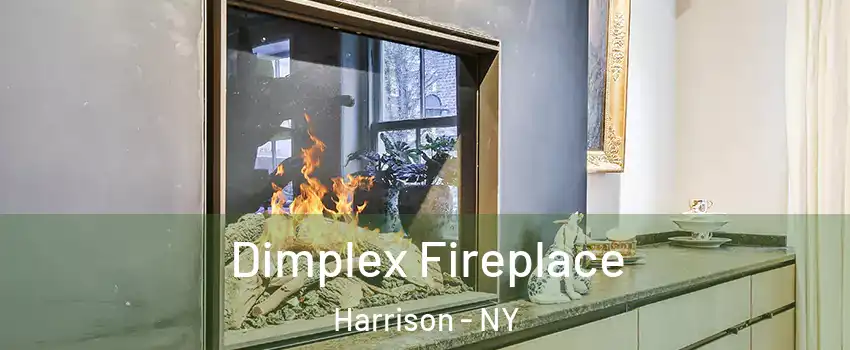  Dimplex Fireplace Harrison - NY