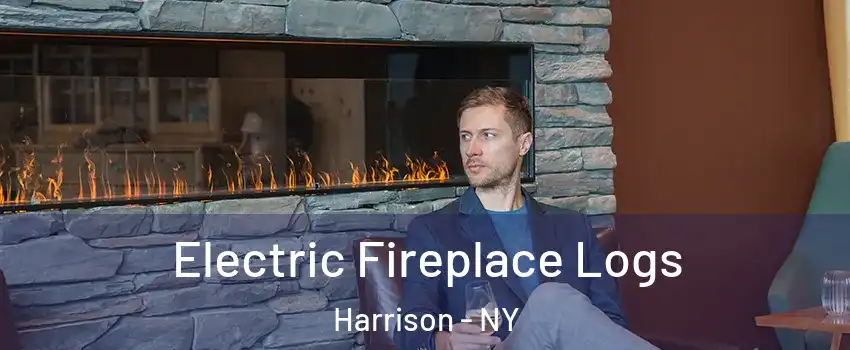  Electric Fireplace Logs Harrison - NY