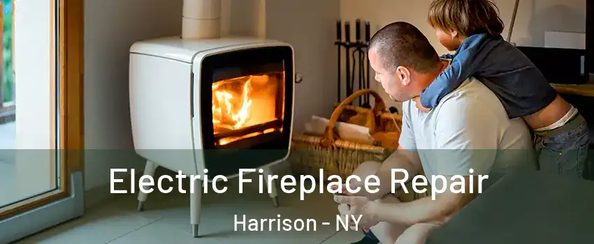  Electric Fireplace Repair Harrison - NY