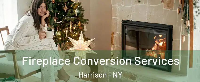  Fireplace Conversion Services Harrison - NY