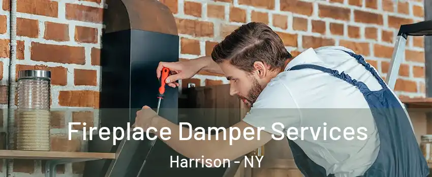  Fireplace Damper Services Harrison - NY