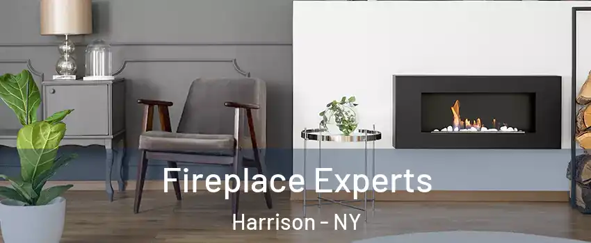  Fireplace Experts Harrison - NY