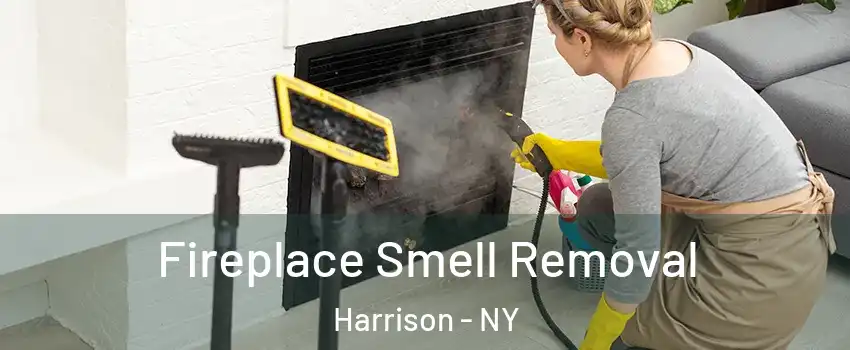  Fireplace Smell Removal Harrison - NY