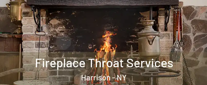  Fireplace Throat Services Harrison - NY