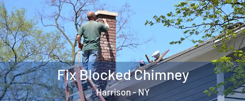  Fix Blocked Chimney Harrison - NY