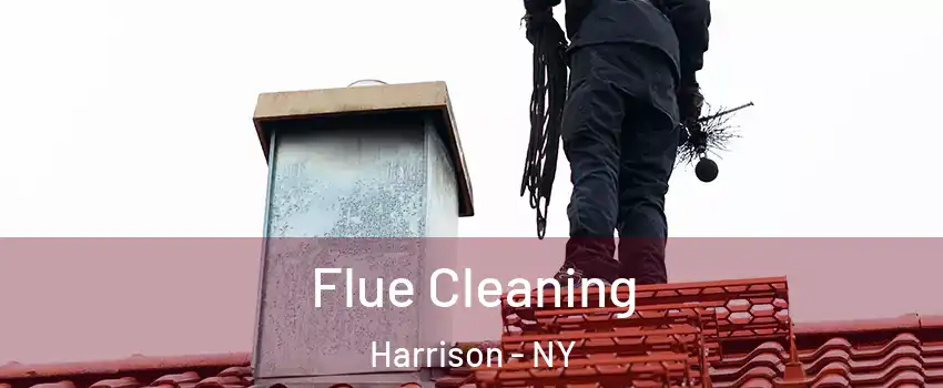  Flue Cleaning Harrison - NY