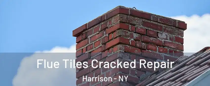  Flue Tiles Cracked Repair Harrison - NY