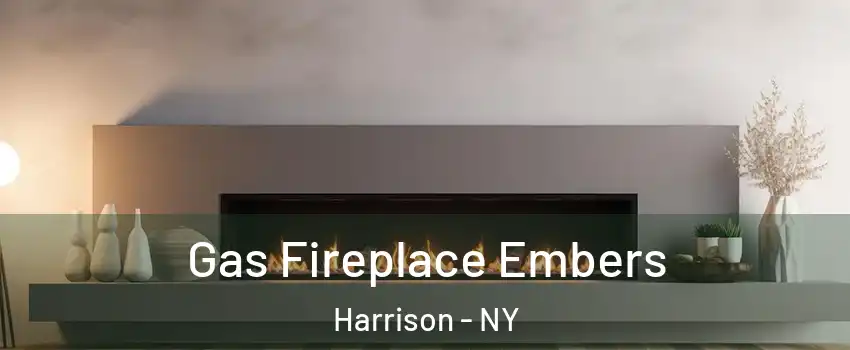  Gas Fireplace Embers Harrison - NY