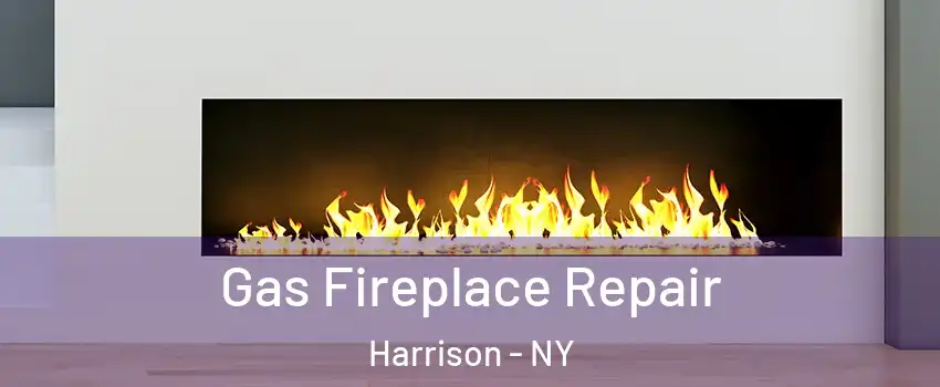  Gas Fireplace Repair Harrison - NY