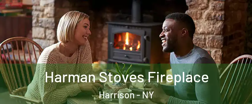  Harman Stoves Fireplace Harrison - NY