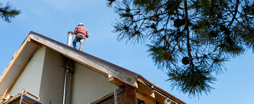 Birds Removal Contractors from Chimney in Harrison, NY