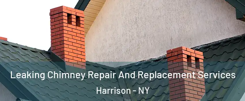  Leaking Chimney Repair And Replacement Services Harrison - NY