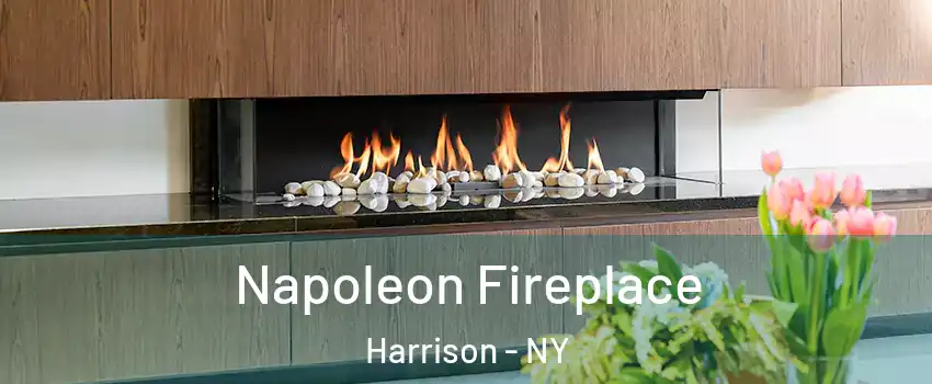  Napoleon Fireplace Harrison - NY