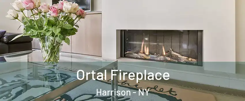 Ortal Fireplace Harrison - NY