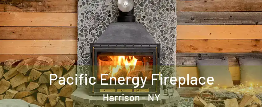 Pacific Energy Fireplace Harrison - NY