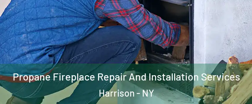  Propane Fireplace Repair And Installation Services Harrison - NY