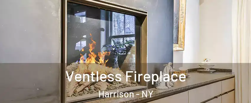  Ventless Fireplace Harrison - NY